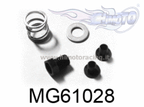 MG610281-