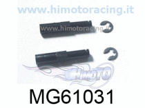 MG610311-